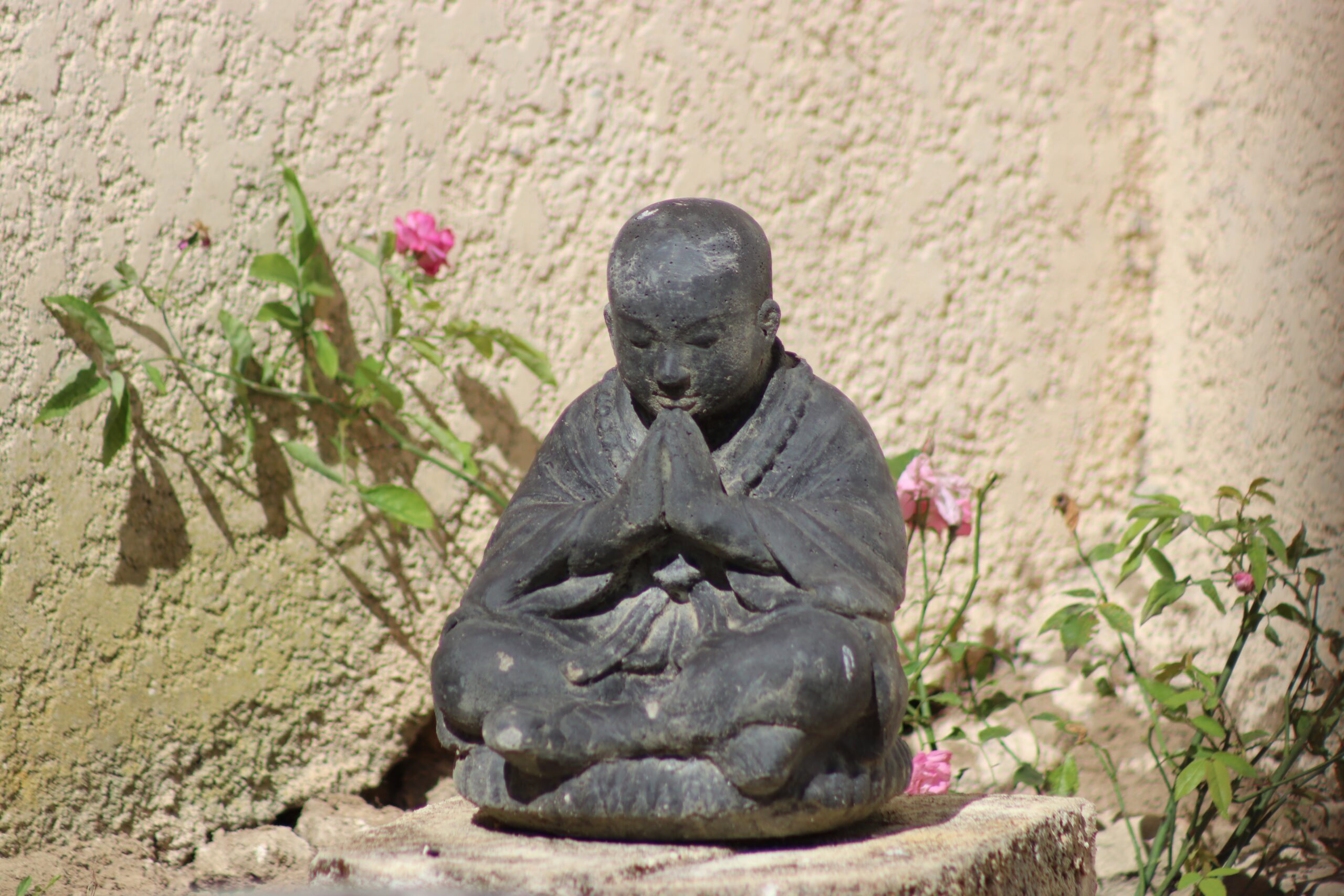 Lire la suite à propos de l’article Méditation par zoom – Jeudi & Samedi (traduction en français)